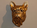 Pet Bust - Wall Mountable